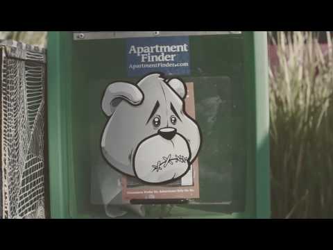 Ernie Fresh - Magic Pony