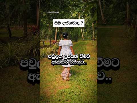 පවුලක් දුප්පත් වීමට ඇත්තම හේතුව.. #shorts #shortsfeed #viral