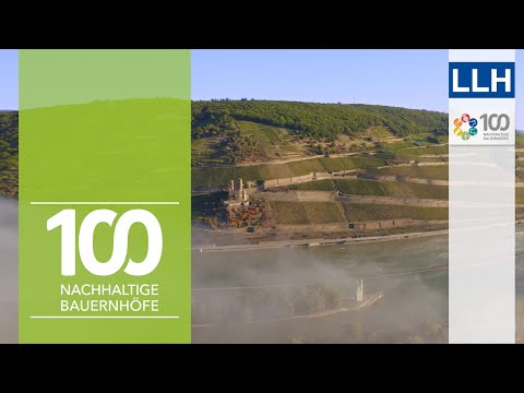 Projekt "100 nachhaltige Bauernhöfe": Nachhaltigkeit im hessischen Weinbau