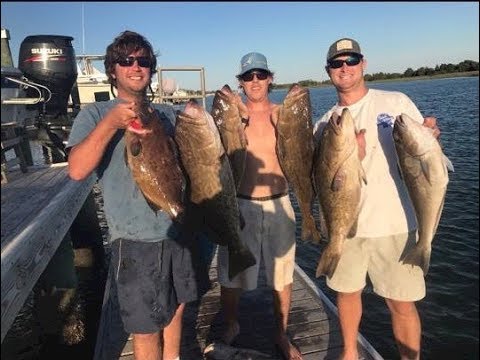 download lagu mp3 mp4 Grouper Salad Recipe, download lagu Grouper Salad Recipe gratis, unduh video klip Grouper Salad Recipe