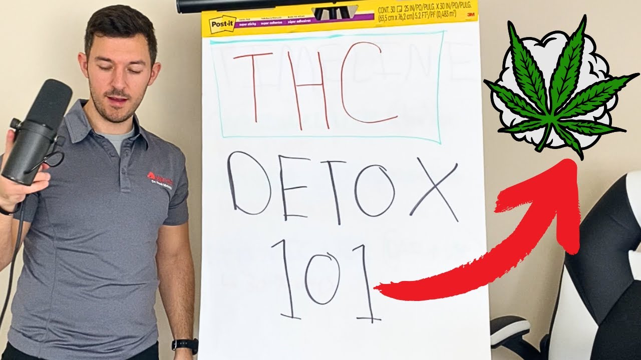 Understanding THC Detox Timelines & Drug Testing