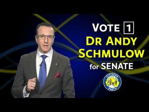 Andy Schmulow - NSW Senate - The game is rigged - 15s