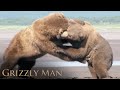 Timothy Treadwell Narrates Two Grizzlies Courting A Female Grizzly Man