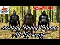 Monkey Funny Dance with All Dj songs