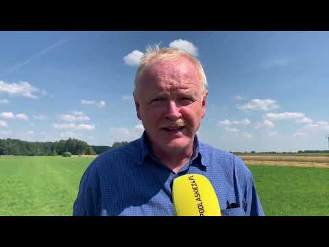 PODLASKI EXPRESS - Pływające krowy, Żniwa w Podlaskiem, Rekordowa inwestycja w Kuleszach Kościelnych