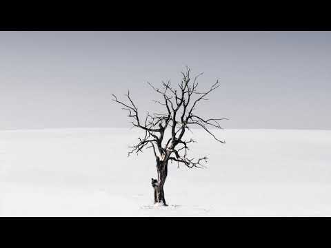 David Harness, Roland Clark - The Deejay’s An Alien (FNX OMAR Remix)