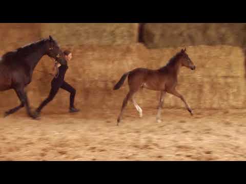 First Look von Mount Etna xx