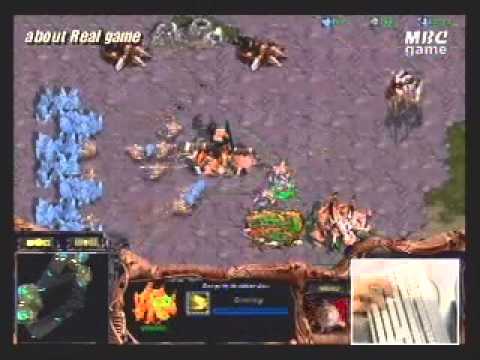 STARCRAFT CLASSICS: Jinnam (Z) vs. Nazgul (P)