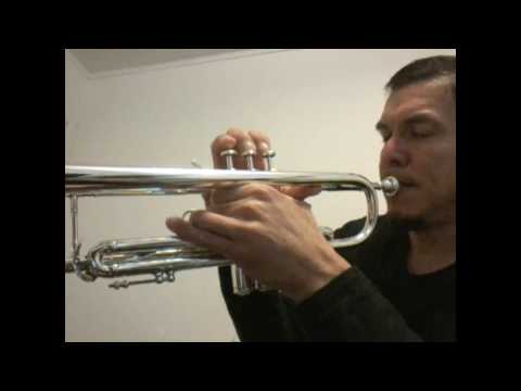 Escala de Re mayor en trompeta