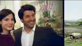2007 Le T�moin amoureux (Enchanted) BA (VF)