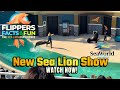 NEW Sea Lion Show SeaWorld San Diego CA 4K
