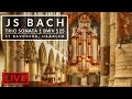 🎵 JS Bach - Trio Sonata No 1 in E flat BWV 525 | St Bavokerk Haarlem