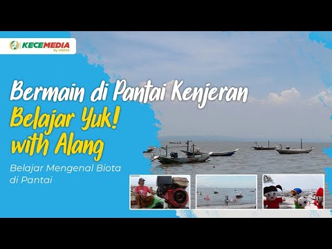 Bermain di Pantai Kenjeran | Belajar Yuk! with Alang - Belajar Mengenal Biota di Pantai