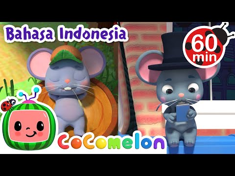 Pertemanan Tikus Desa dan Kota🐭🐭 | CoComelon Bahasa Indonesia - Lagu Anak Anak | Nursery Rhymes
