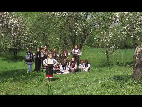 Marta Balaceanu-Hora