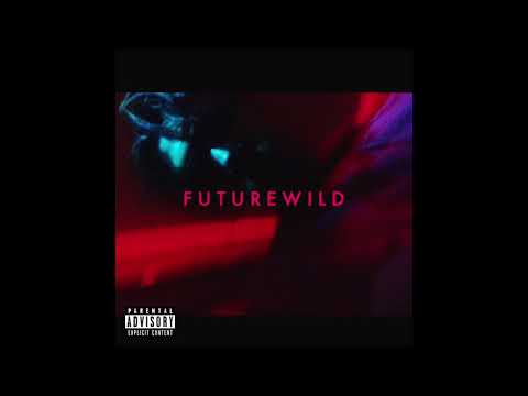 Lidnesty - $UPER CHIKK