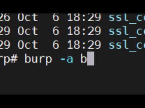Burp Backup Client SSL Errors