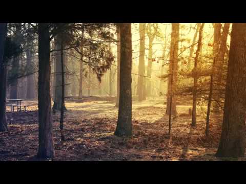 Nef-U ft. Snails - Ramas bun