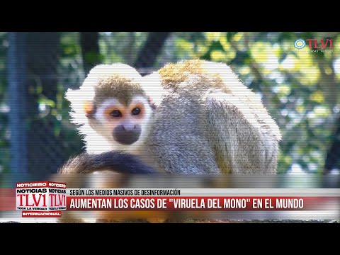 Noticiero TLV1 Nº08 - "Monkeypox": la excusa perfecta para el retorno a la tiranía global
