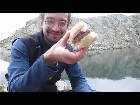 VLOG Escursione a CIMA PIAZZOTTI, RIFUGIO BENIGNI  e CAMPFIRE in riva al LAGO PIAZZOTTI ALPI OROBIE