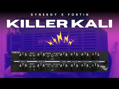 Synergy Fortin Killer Kali 2-Channel Preamp Module 2025 - Present - Black image 5