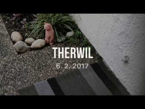 Švýcarsko/Basel-Land Therwil