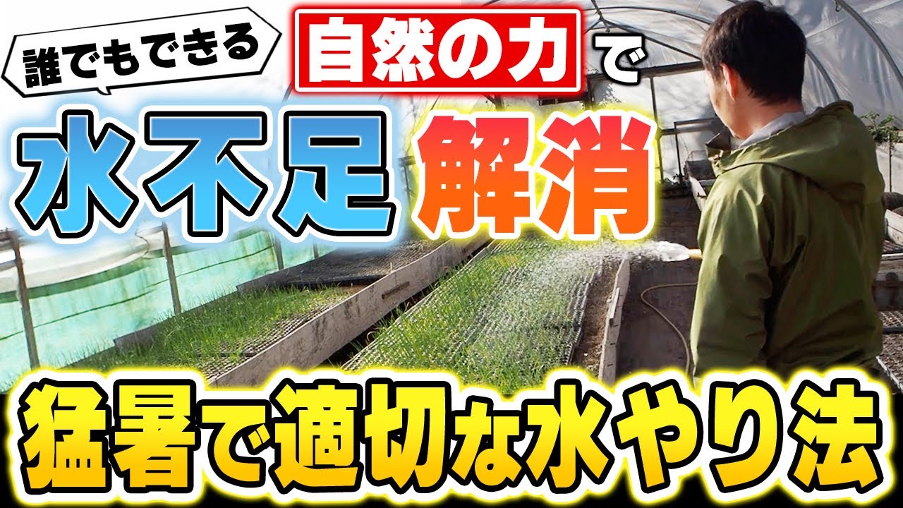 自然の力を生かして水不足を乗り切る！自然栽培の水やり削減法