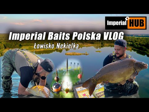 Tactics for Carp from Nekielka