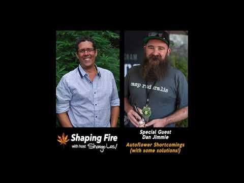 Shaping Fire Ep.89 - Autoflower Shortcomings (and some solutions!) with guest Dan Jimmie