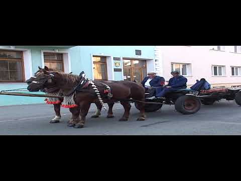 Lanžhot Hody 2006 Part 1/2