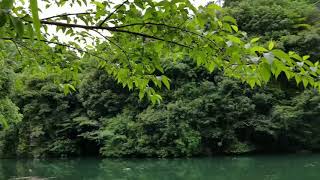 釣り、行ってきたよ！短縮編