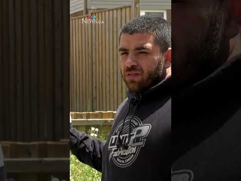 Fence causes rift between Kitchener neighbours