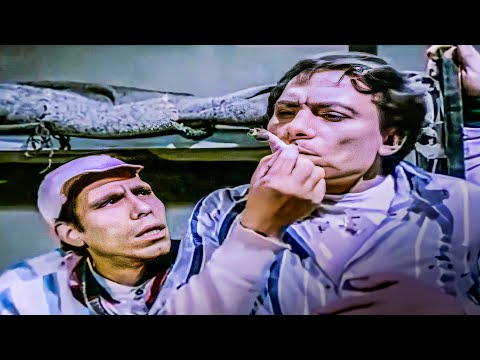 The Screen Aflam and The Screen Aflam Plus