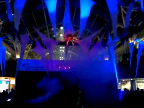 Feuervögel Teil 5 NWZ.mp4