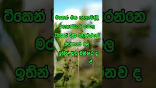 Download lagu නිවන් දකින්න කාලය පැමිණ ඇත. #motivation #love #quotes mp3