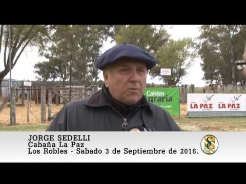 03-09-16 Nota Jorge Sedelli - Cabaña La Paz - Los Robles.