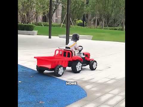 This dog's wisdom is comparable to that of a human #pets #cute #funny #shorts #love