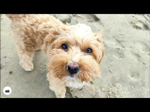 Urlaub in Schouwen-Duiveland Teil 1