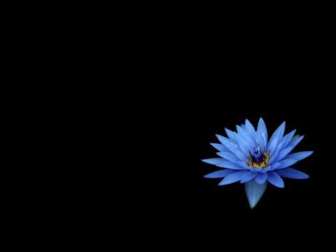 Katharagame Devige Bimey; Darmadasa Walpola, Sathyawathi, chorus Film  Asoka 1955