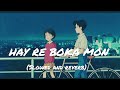 Hay Re Boka Mon Keshab Dey Slowed Reverb Lofi Song