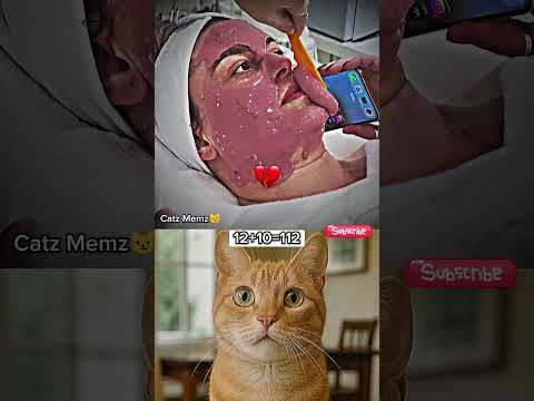 The result of talking too much😹 #cat #memes #funny