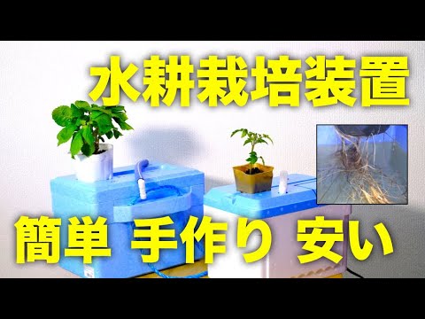 , title : '【水耕栽培】手作り水耕栽培装置の作り方,道具,材料【ベランダで自給自足】'