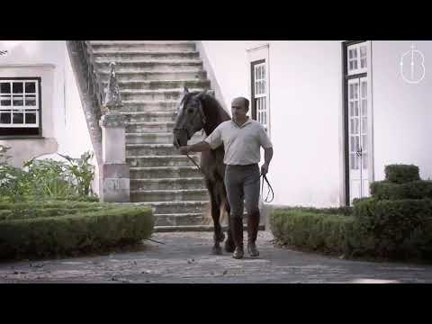 17 Coudelaria Casal Branco