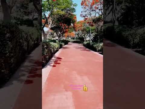 Al Barsha 2 park |Dubai park's |natural Beauty