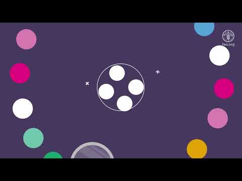 FAO's Roadmap on where to go when in need (Russian subtitles)