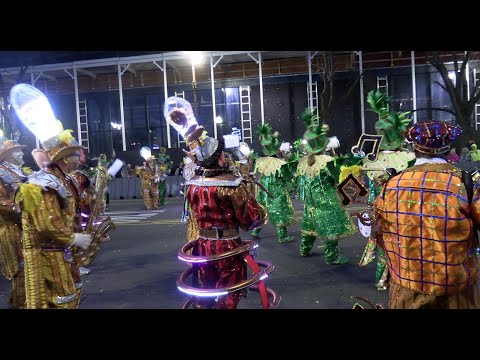 Aqua String band 2024