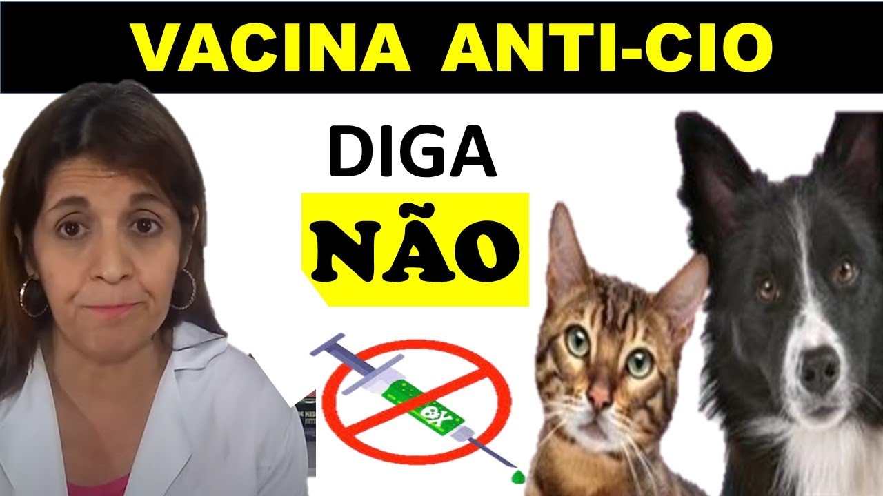 Vacina Anti-Cio Cachorra e Gata. Pode Aplicar Tire sua dúvida.