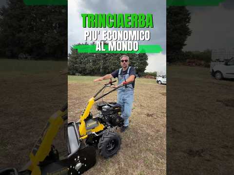 TRINCIATUTTO