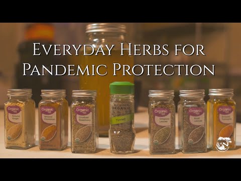 How to Use Everyday Herbs in a Viral Pandemic