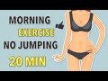 20 MIN MORNING EXERCISE ROUTINE NO JUMPING FAT BURNING WORKOUT